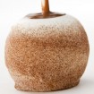Apple Pie Apple